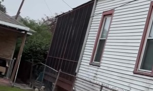 Cybertruck Disgusts Passerby