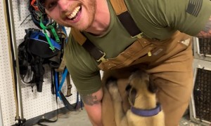 Vicious Pack Of Velocipuppers