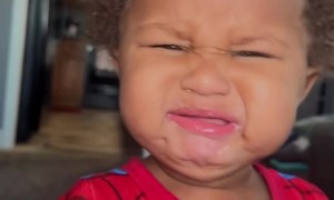 Learning Not To Ask For Lime Juice