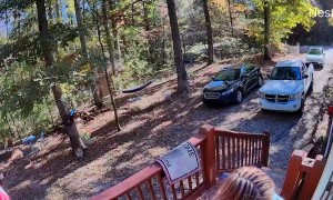 Stumble Up The Cabin Stairs