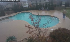 Dog and Owner Slip on Patch of Poolside Ice