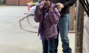 Young Equestrian Receives a Special Christmas Surprise