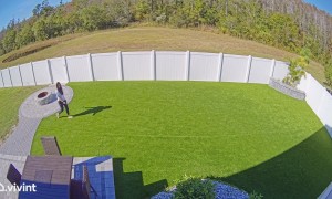 Playful Dogs Tackle Owner From Behind