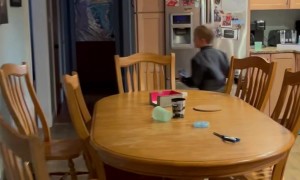 Surprising Your Best Friend After 5 Months Apart