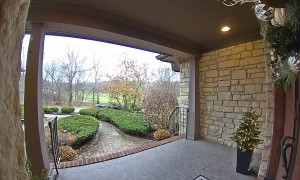 When The Kids Won't Stop Throwing The Ball In The House