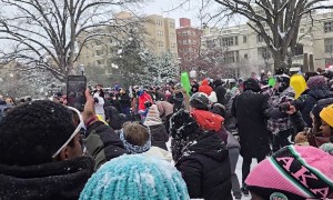 Hundreds Gather for Washington DC Snowball Fight