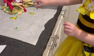 Girl Lectures Elf About Broken Cookies