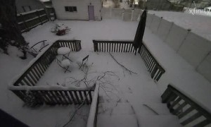 Car Crashes Into Fence While