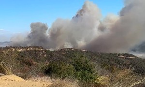Overlooking Palisades Fire From Topanga State Park