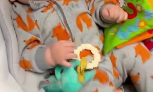 Baby Has Adorable Reaction to Bulldog Puppy