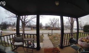 Starting New Years With Hurt Foot