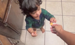 Kiddo Shares Cheese with Cat