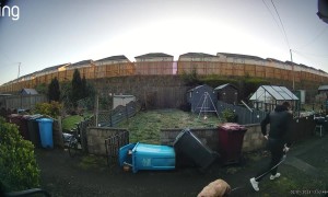 Dog Walker Takes Running Stumble Into Garbage Bins