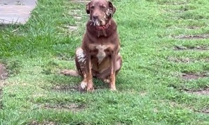 The Look of 1000 Regrets