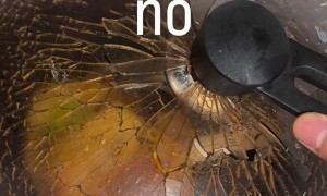 Pot Lid Shatters While Cooking