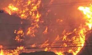 Hillside Panorama of Palisades Fire