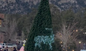 Elk Silhouettes In Christmas Tree Lights