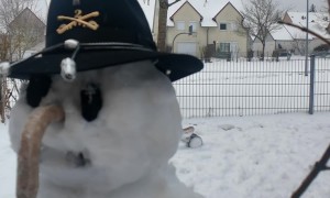 When Don't Have Any Carrots and Need a Nose for Your Snowman
