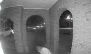 Delivery Driver Trips and Falls With Food