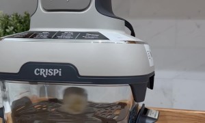 Spring Roll Breakdances Inside Glass Air Fryer