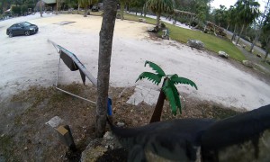 Car Crashes Into Partially Open Gate