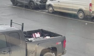 Bird Takes Egg From Truck Bed