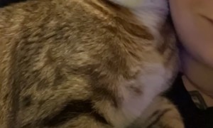 Behold the Sleepy Boy