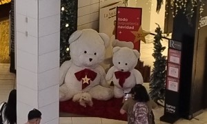 Stranger Helps Man Take an Adorable Photo of His Dog