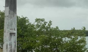 Accidently Recording a Random Woman Slipping Into the Ocean