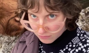 Highland Cattle Photo Op Gone Wrong