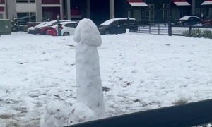 Hard At Work Building Snow Genitals