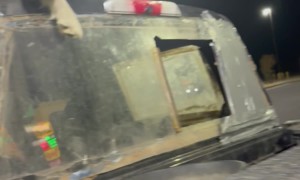 Puppies Steal The Front Seat