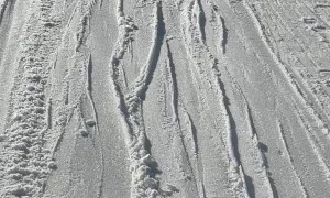 Snowboarding On Tow Lift Fails To Mind Pole