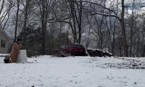 Ninja Turtle Snowman