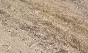 Extreme Winds Lead to Multi-Car Pileup