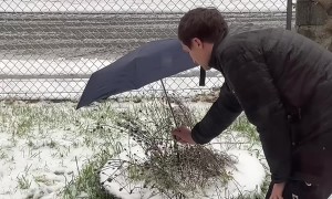 The Boyfriend Who Didn't Want a Puppy