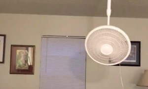 Upside-Down Fan