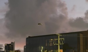 Owl Tries To Fly Against Wind
