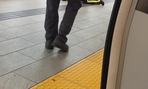 Male Suspect Pushed by Police During Arrest