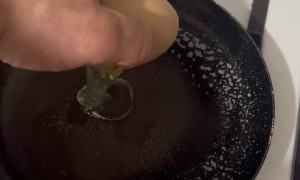 This Egg Contains a Surprise