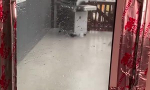 Grill Carried Away By Extreme Winds