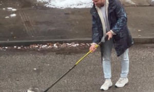 Canadian Helps Guide a Raccoon Using a Hockey Stick
