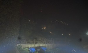 Palisades Fire Woman and Dog Rescue