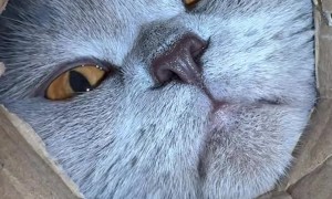 POV: You're the Last Pringle in the Tube