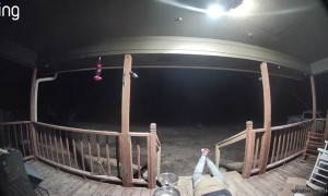 Accepting Defeat After Stair Fall