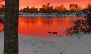 Snowy Sunset Over Red Louisiana Pond
