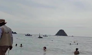 Dolphins Dance for Humans on Beach