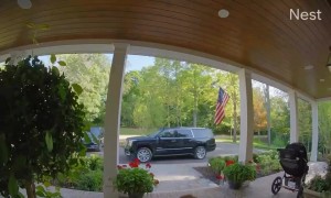 Porch Step Takes Out Leftovers