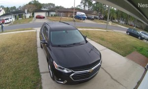 Neighbor Doesn’t Care For Birds