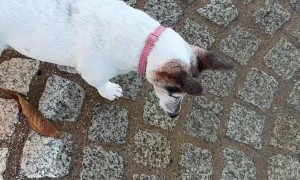 Where Did the Water Go?